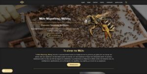 Κατασκευή Ιστοσελίδων | Παναγιωτάκος Γιώργος | Web Developments