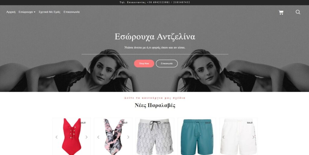 Κατασκευή Ιστοσελίδων | Παναγιωτάκος Γιώργος | Web Developments