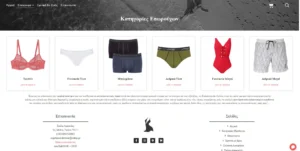 Κατασκευή Ιστοσελίδων | Παναγιωτάκος Γιώργος | Web Developments | WordPress Αντζελίνα Εσώρουχα